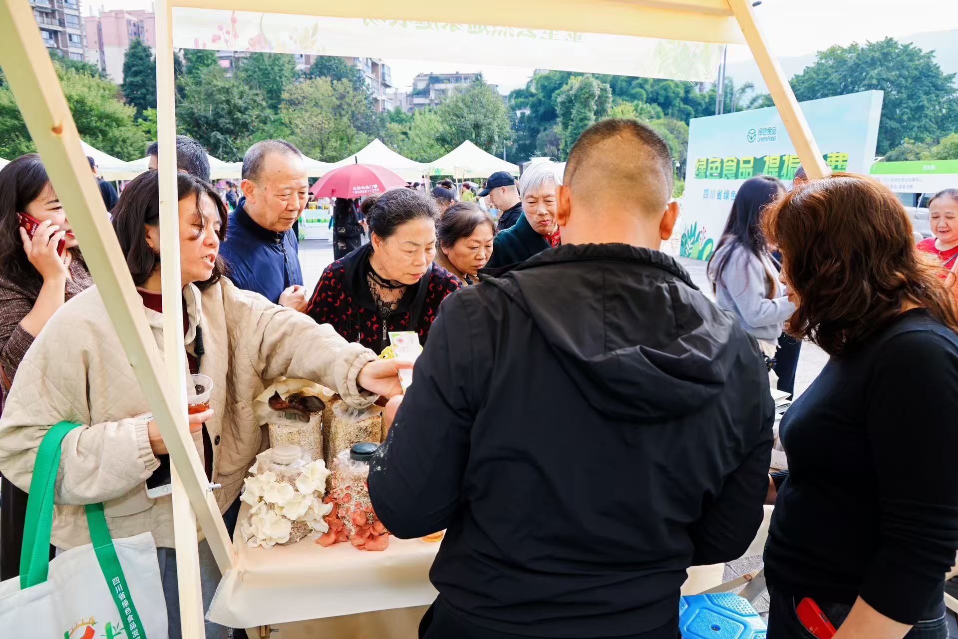 菌都雅安展会现场.jpg