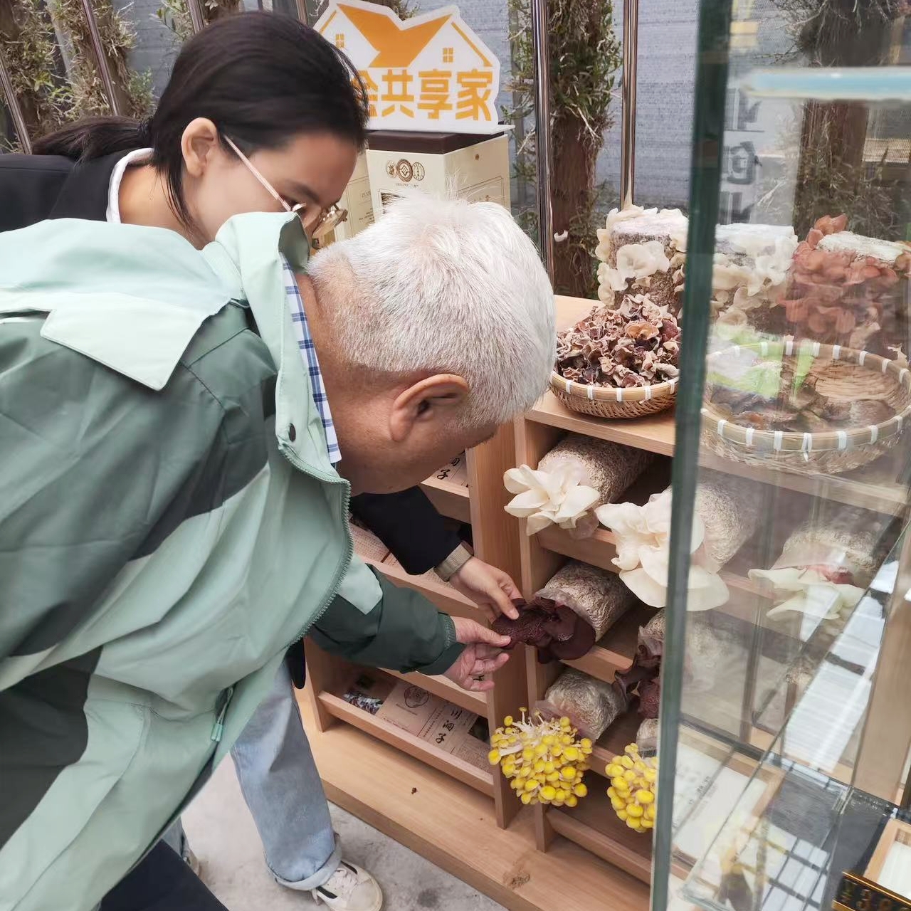 吴主席参观菌袋.jpg